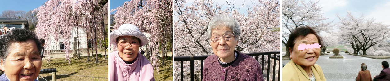 日本の春といえば「桜」自然に笑顔がこぼれます
